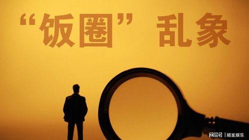 国家会怎么整顿娱乐圈,重塑行业秩序，净化文化环境