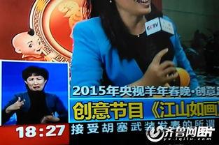 央广女主播王琳,声音的魅力与职业的坚守