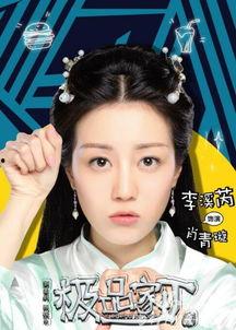 极品家丁演员表,实力派明星齐聚一堂，演绎传奇人生